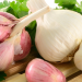 How to grow organic garlic