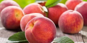 Learn how to grow peaches