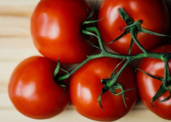 How to save and store tomato seeds