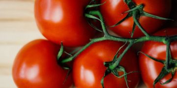 How to save and store tomato seeds
