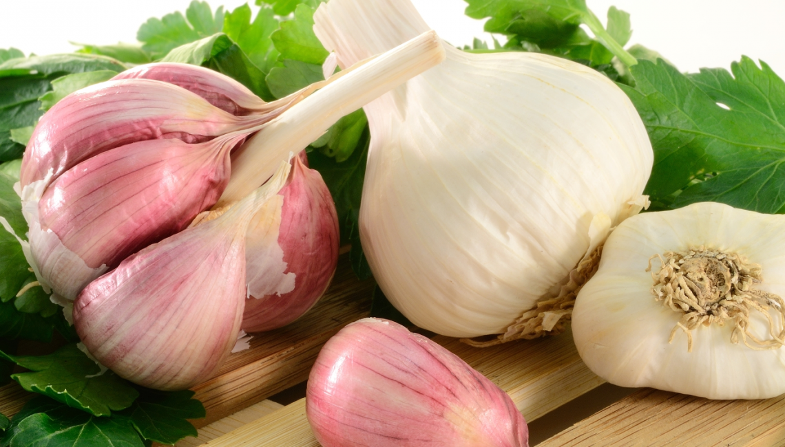 How to grow organic garlic xGardening