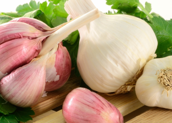 How to grow organic garlic