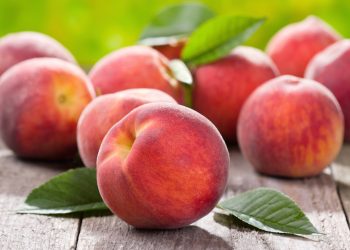 Learn how to grow peaches